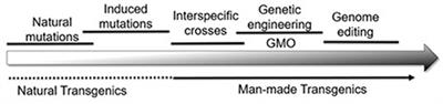 Novel Features and Considerations for ERA and Regulation of Crops Produced by Genome Editing